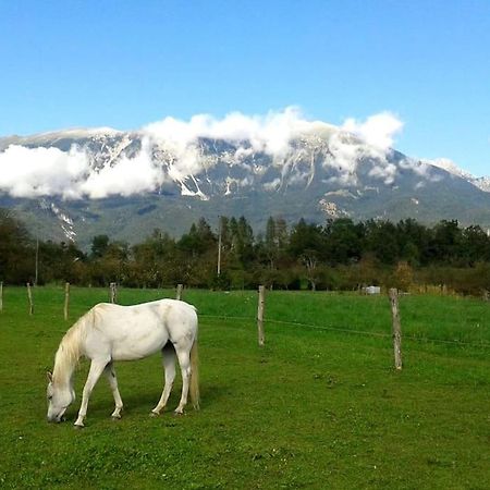 Apartma Kenda Bled Dış mekan fotoğraf